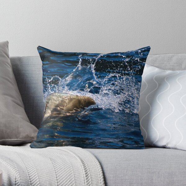 Breaking the Barrier Throw Pillow