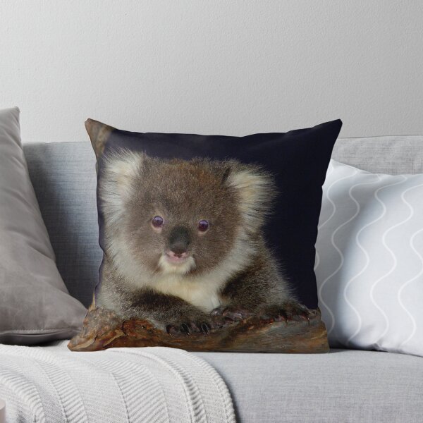 Artikelvorschau, Koala Cub entworfen und verkauft von Adam Cole.