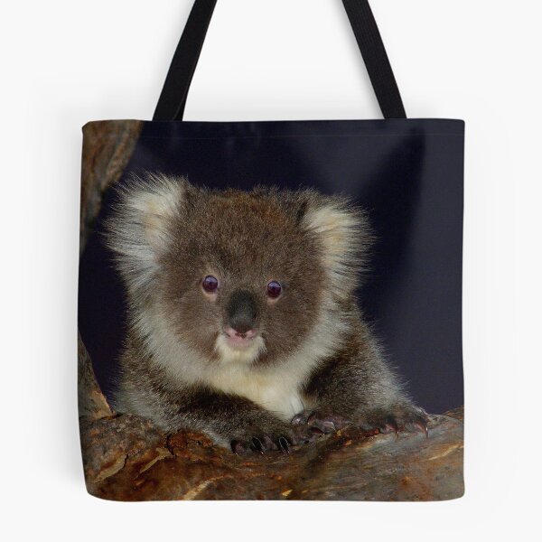 Item preview, Koala Cub designed and sold by Adam Cole.