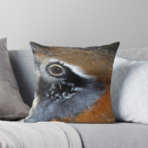 Artikelvorschau, Great Necklaced Laughing Thrush entworfen und verkauft von Luci Mahon.