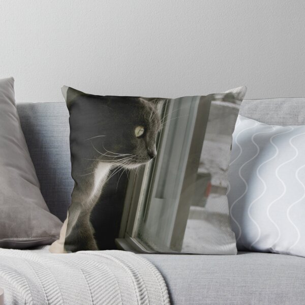 Item preview, Brutus' Favorite Window designed and sold by Fern Design.