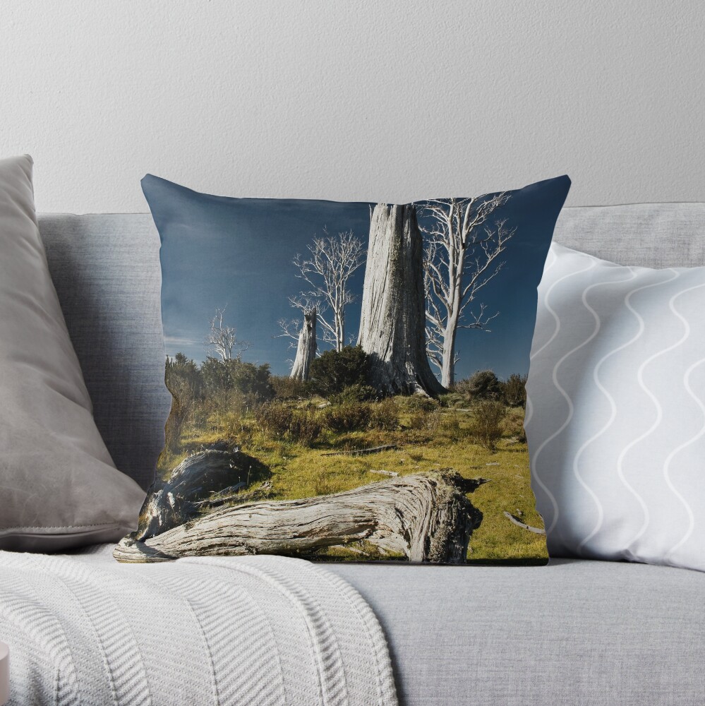 The stories they could tell..... Throw Pillow