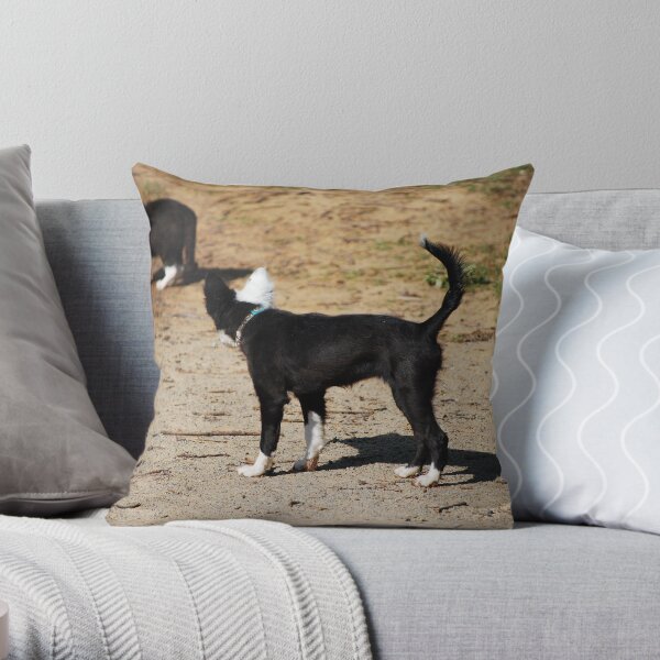 Strange Dog? Throw Pillow