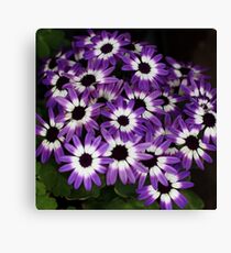 senetti Leinwanddruck