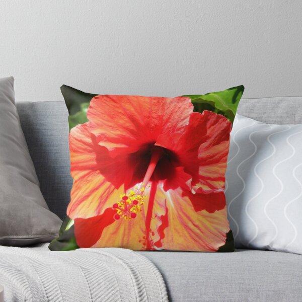 Item preview, orange hybiscus designed and sold by Peta Hurley-Hill.