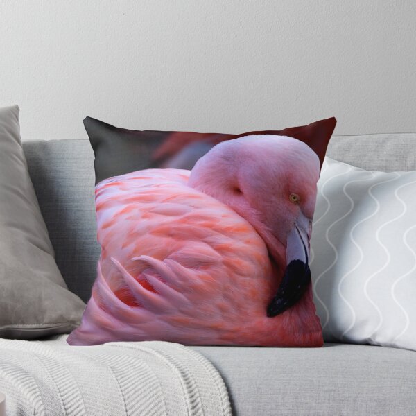 Item preview, Flamingo at Martin Mere designed and sold by Shaun Whiteman.