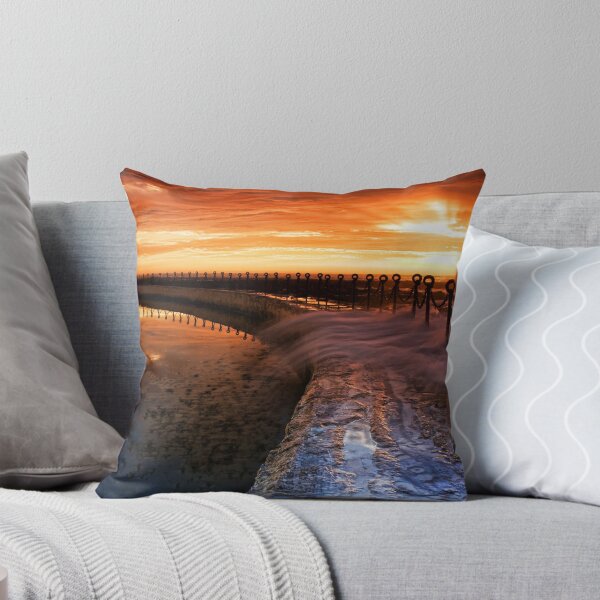 Item preview, Newcastle Canoe Pool designed and sold by Naomi Frost.