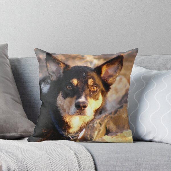 Item preview, Caught on Camera designed and sold by nikki harrison.