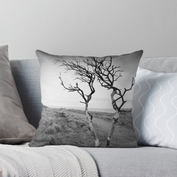 Item preview, Tree on 'The Nut', Stanley, Tasmania designed and sold by Ashpix.
