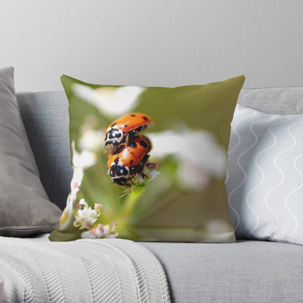 ~Privacy Please~ Throw Pillow