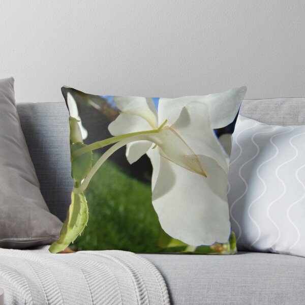 Item preview, back side designed and sold by Jan Stead JEMproductions.