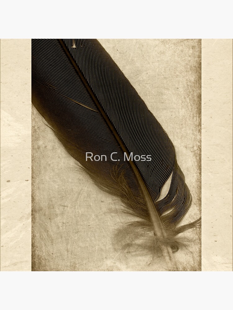 l i g h t by ronmoss