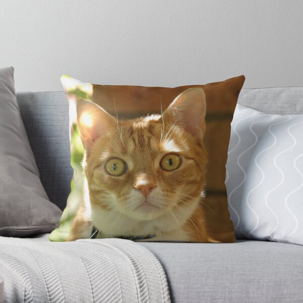 Angus Throw Pillow