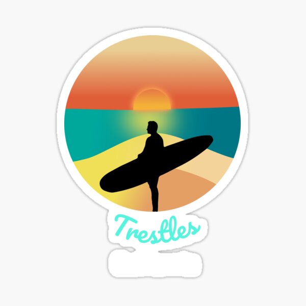 USA Surfer Flag Decal Sticker surf fins surfboard surfing window decal sticker 