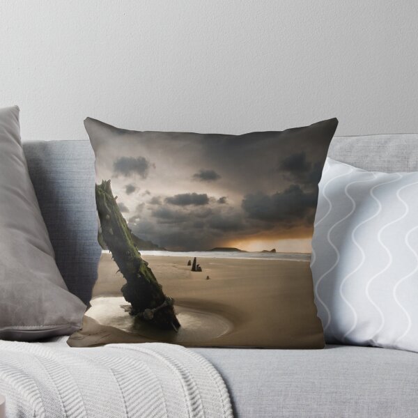 Item preview, Ship Wrecked designed and sold by igotmeacanon.