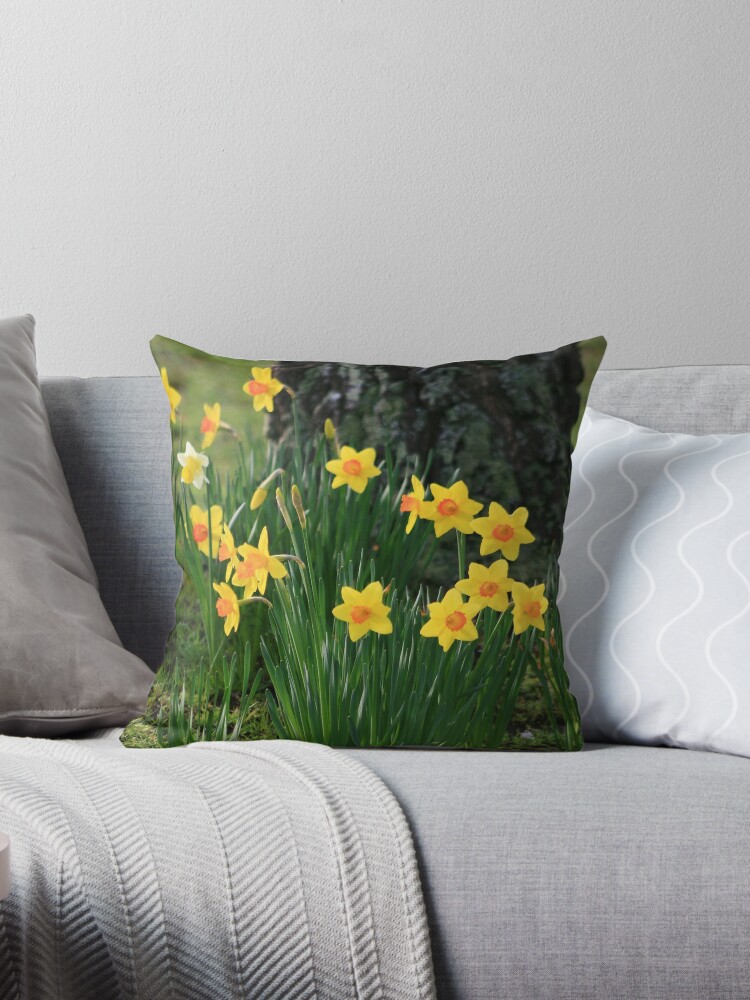 Throw Pillow, Daffodils designed and sold by Tim Wootton