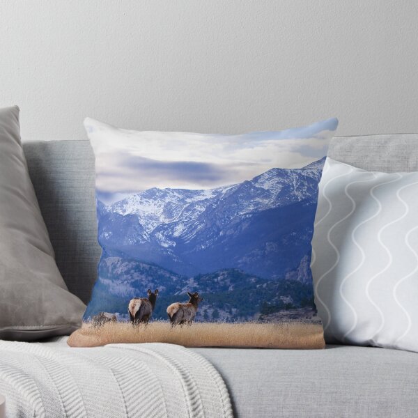 Item preview, sun's going down, time for a nap designed and sold by Kevin Williams.