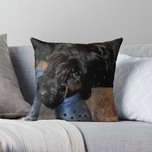 I've been waitin' for you Throw Pillow