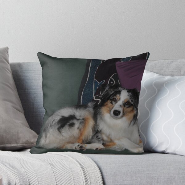 Item preview, Curious designed and sold by Anne Smyth.