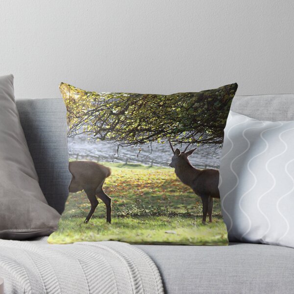 Item preview, Young Bucks - Red Deer designed and sold by Trevor Kersley.