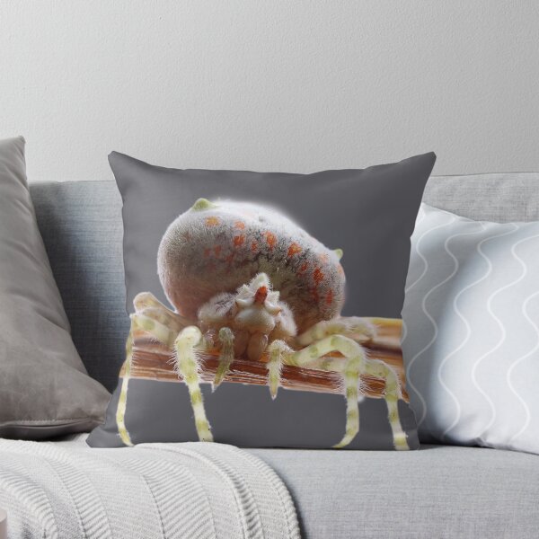 Item preview, Ordgarius magnificus, Magnificent (bolas) spider designed and sold by Normf.