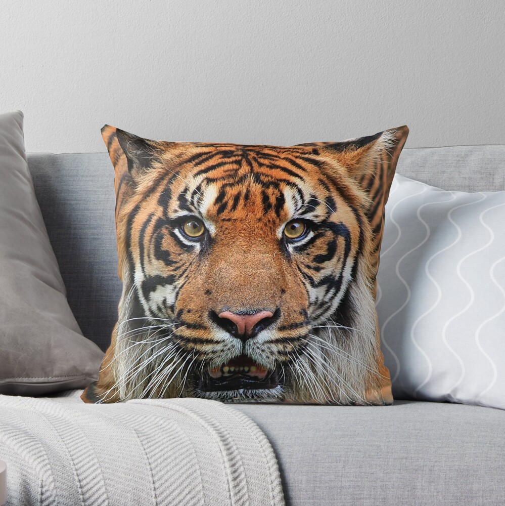 Got you .... Throw Pillow