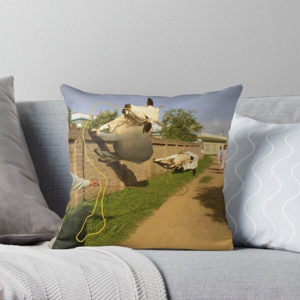 Item preview, In Pothwar, even the Cows are Space Age designed and sold by Kenny Irwin.