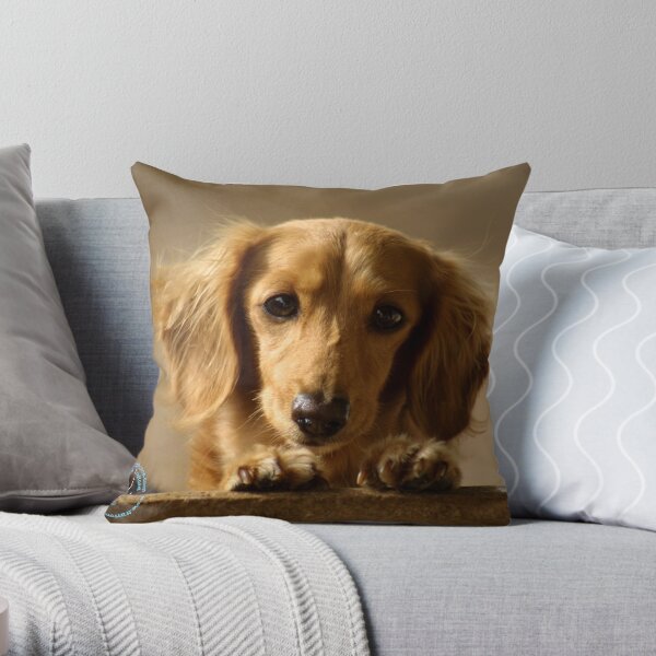 Dachshund Throw Pillow