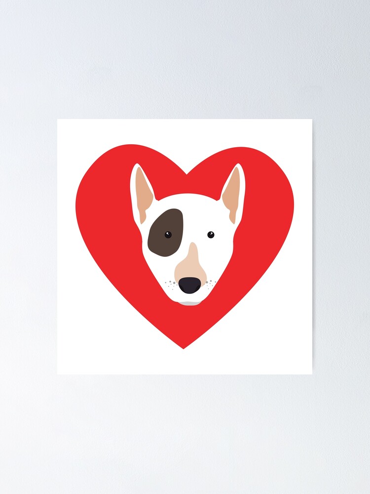 eye patch for chihuahua