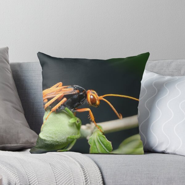Item preview, Orange Spider Wasp designed and sold by Andrew Trevor-Jones.
