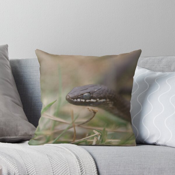 Artikelvorschau, Whitelipped snake Clowdy eyes Due to slough (Shed) entworfen und verkauft von Thow's Photography.