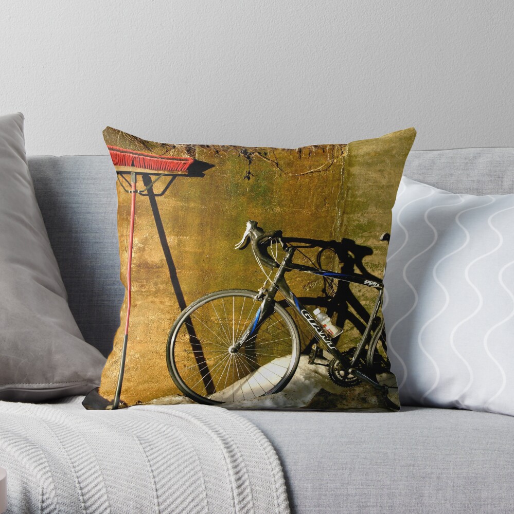 Broom & Bike On Ice Throw Pillow