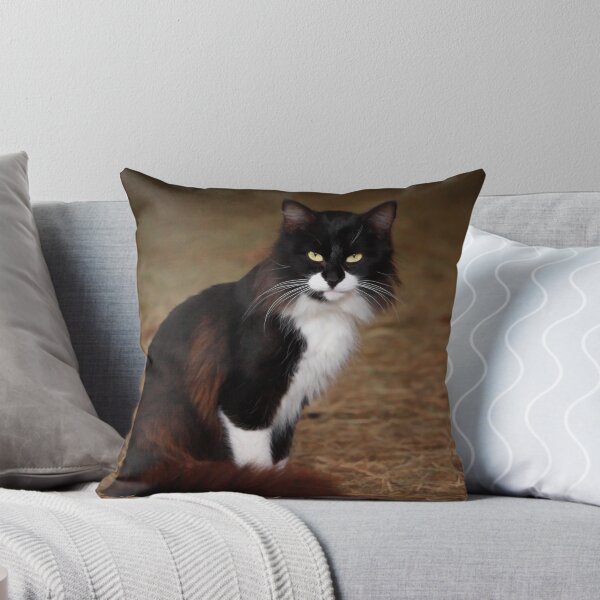 Item preview, Billy Katt designed and sold by Sharon Morris.