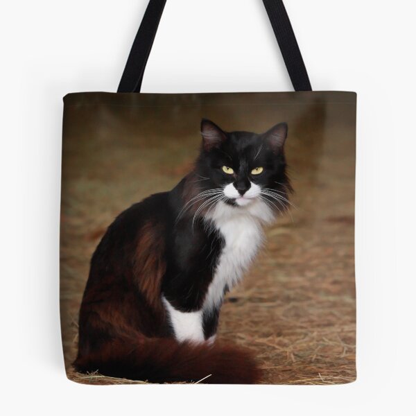 Item preview, Billy Katt designed and sold by Sharon Morris.
