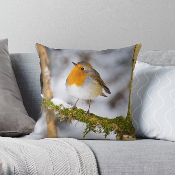 The Robin Throw Pillow