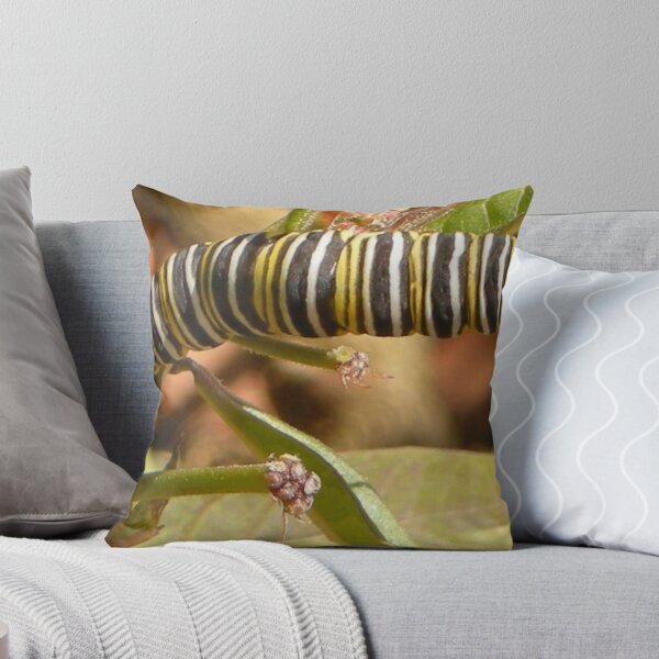 Item preview, Coolpix Cat designed and sold by Donna Wilkins.
