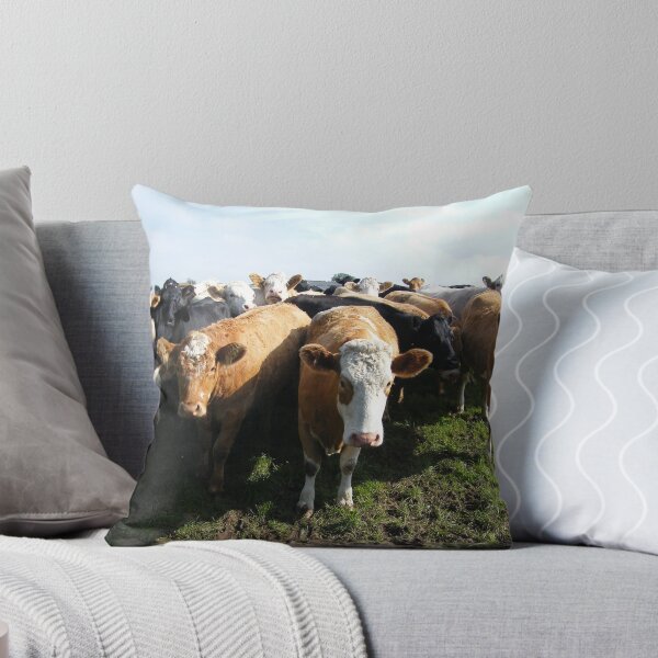 Artikelvorschau, Curious Cows entworfen und verkauft von FritzFitton.