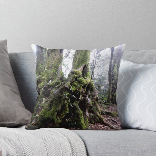 Item preview, Antarctic Beech Tree,  Springbrook designed and sold by smallan.