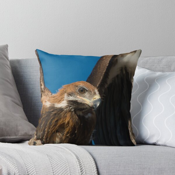 Item preview, Wedge Tailed Eagle (juvenile) designed and sold by Henry  Cook.