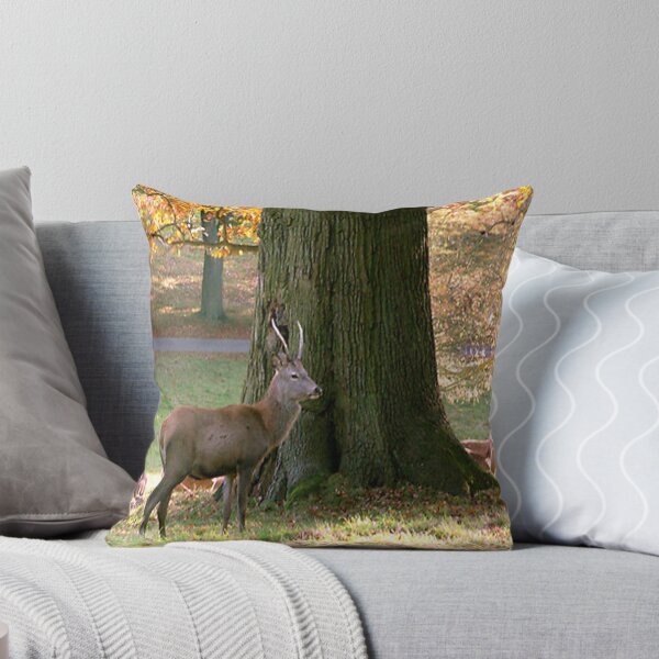 Item preview, Red Deer at Studley Royal Deer Park designed and sold by Trevor Kersley.