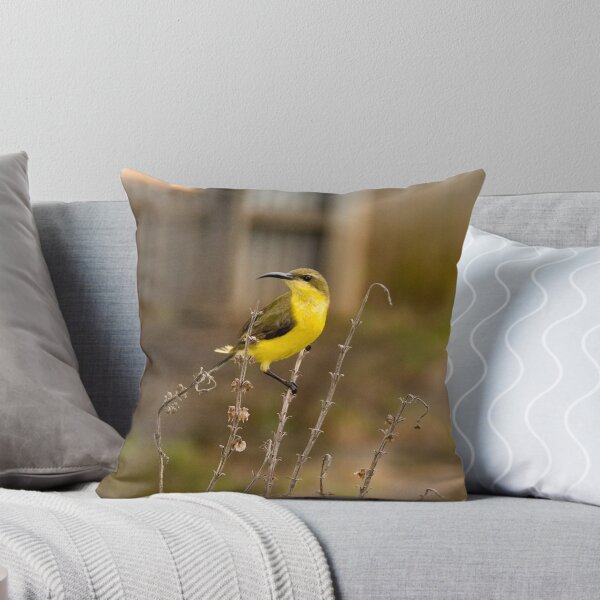 Item preview, The Female Sunbird designed and sold by slim6y.