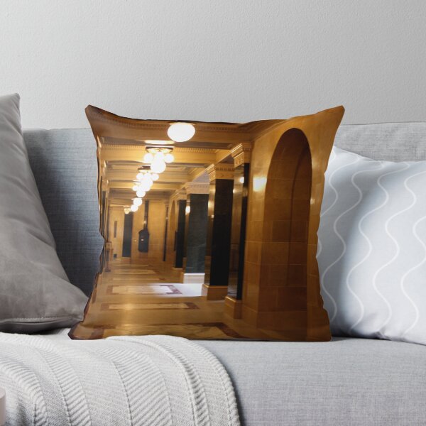 To the Future Throw Pillow