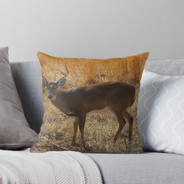 Item preview, Little Buck designed and sold by Adrena87.