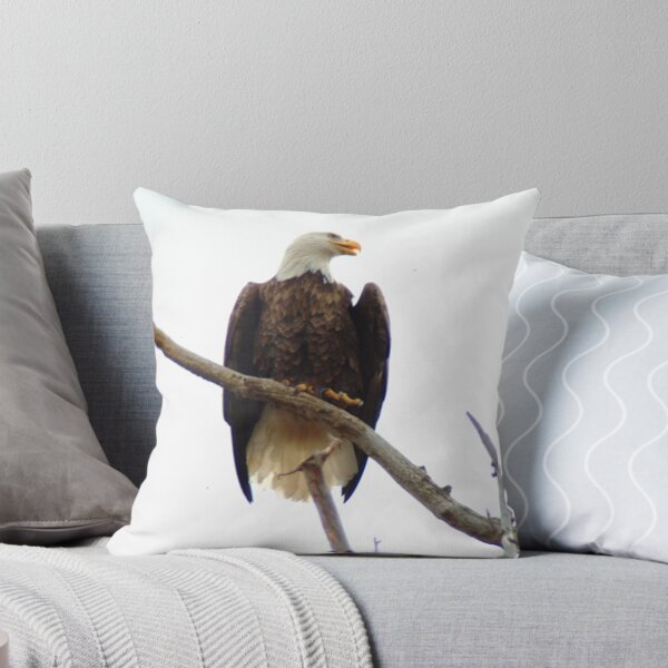 Item preview, 021609-18 BALD EAGLE III designed and sold by MICKSPIXPHOTOS.