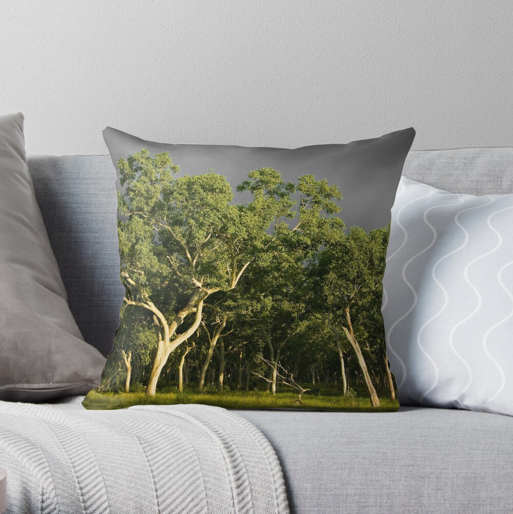 Ghost Gums Throw Pillow