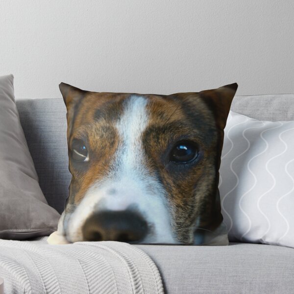 Item preview, Brown Eyes  designed and sold by rmcbuckeye.