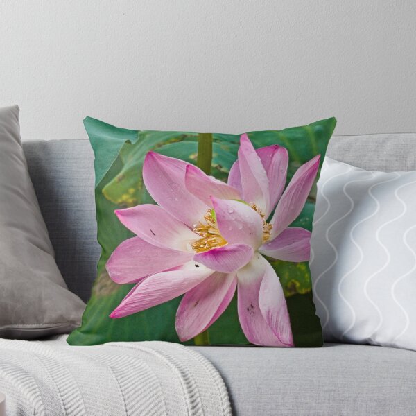 Item preview, Pink Lotus Blossom designed and sold by boehmgraphics.