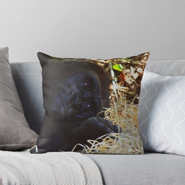 Item preview, Gorilla at Melbourne Zoo, Victoria designed and sold by groophics.