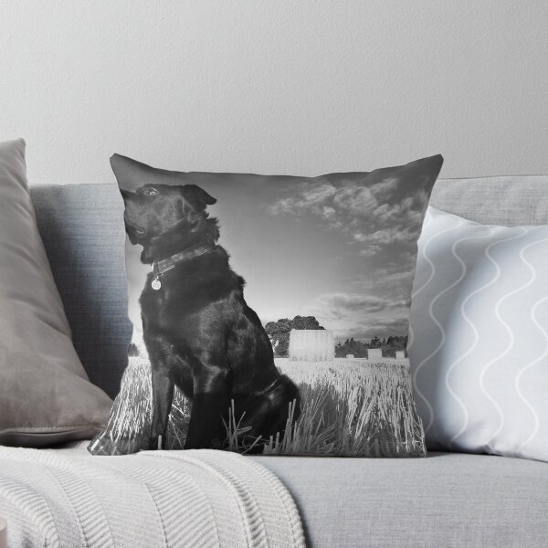 Item preview, a change in the weather designed and sold by colin campbell.