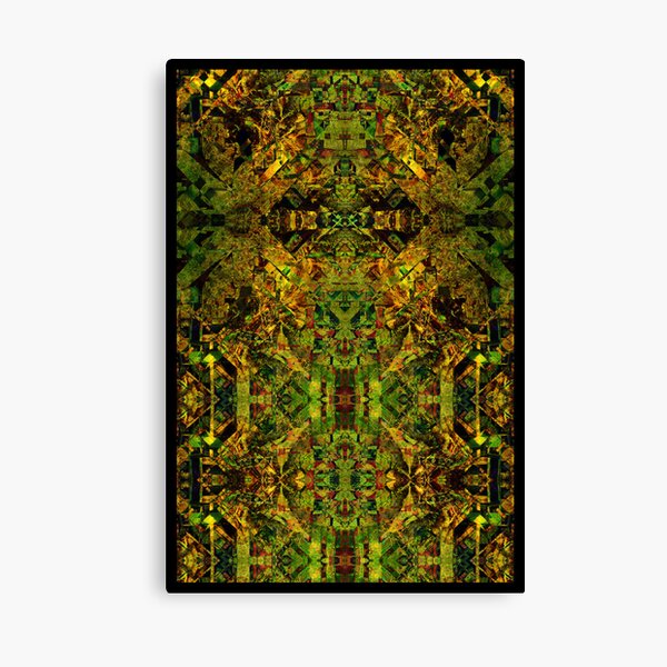Dream of the Shaman Canvas Print